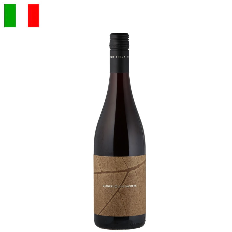 ヴィニェーティ・コスタクルタ / ティンタウニータ 2020