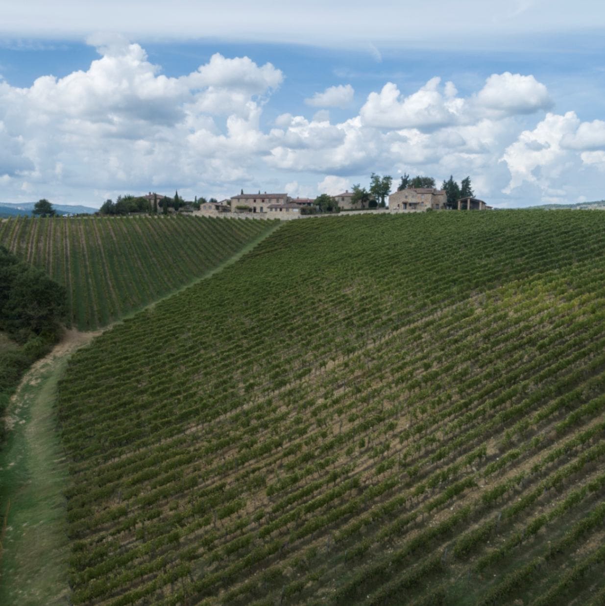 イル・パラッツィーノ / トスカーナ ロッソ・デル・パラッツィーノ 2021