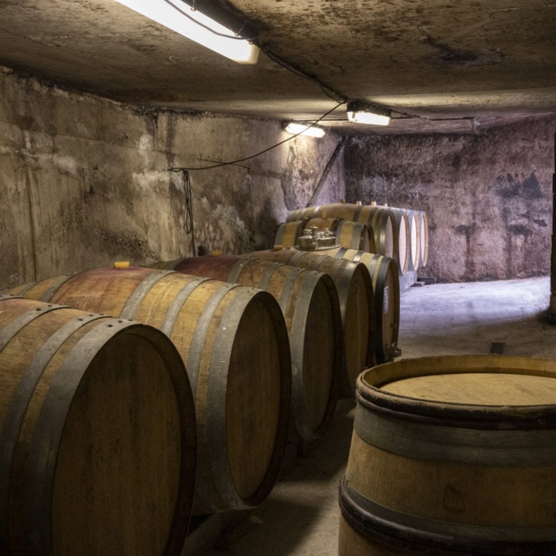 ル・クロ・デュ・チュ＝ブッフ / ル・ブラン・ド・シェーヴル 2022