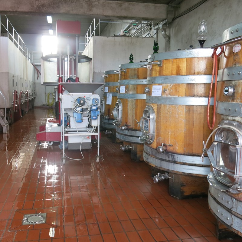 ポデーレ　414 / フラワー・パワー 2024