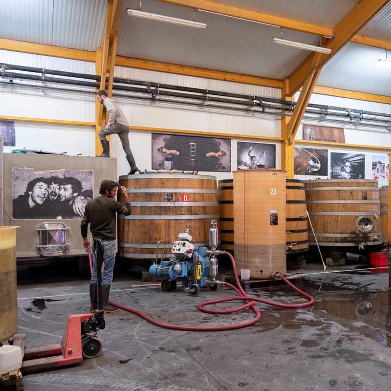 エルヴェ・ヴィルマード / ピノ・ドニス 2022 | 産地,フランス