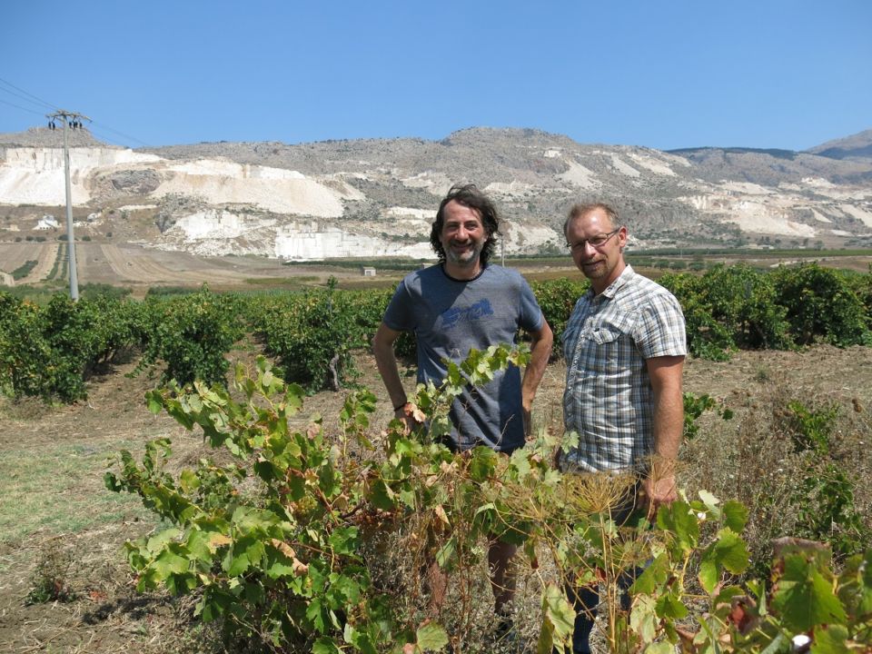 ヌース（コーペラティーヴァ・ ヴィーノ・ヌオーヴォ) / シチリア ネーロ・ダーヴォラ 2022