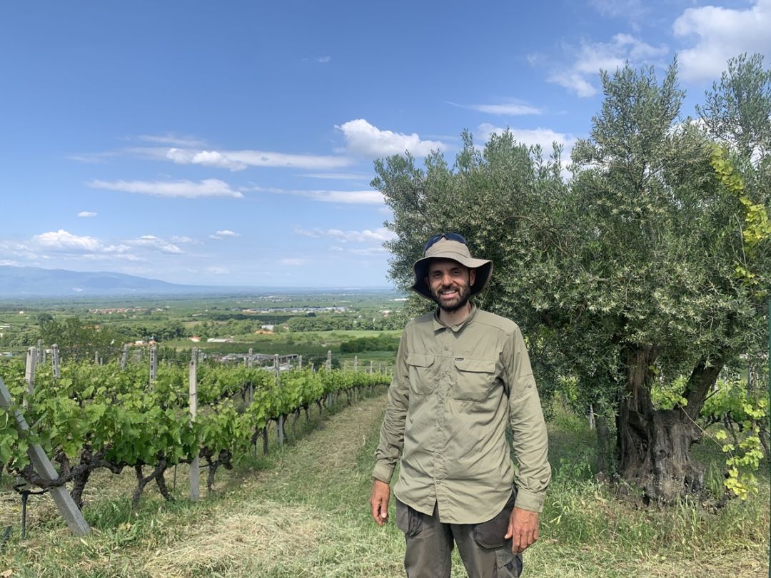 ドメーヌ・ダラマラ / イマスィア カプニストス 2021