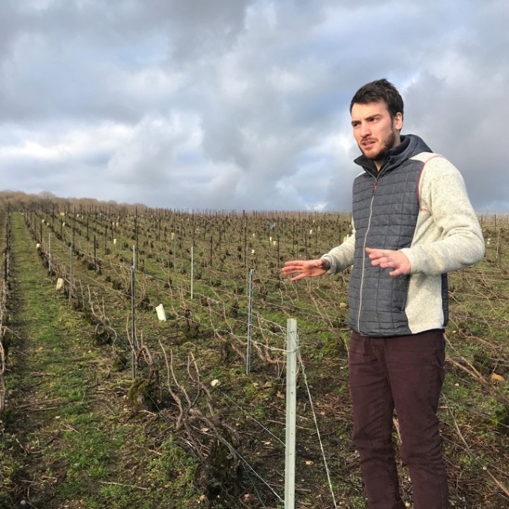 ジョゼ・ミシェル・エ・フィス / エクストラ・ ブリュット　シャピートル ムニエ