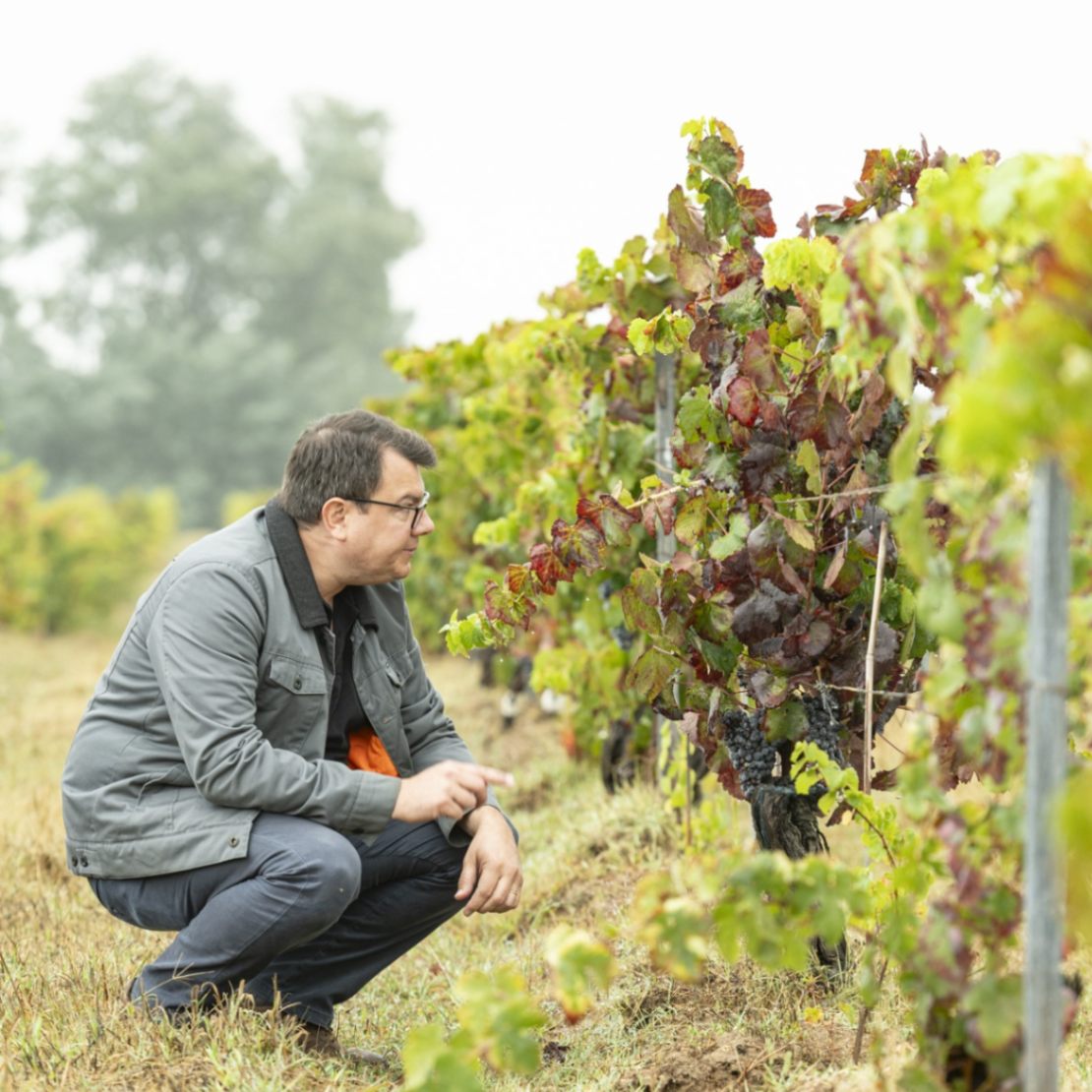 ドミニオ・ド・アソール / ダォン　ドミニオ・ド・アソール・ブランコ 2022