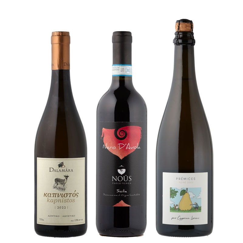 秋セレクション！ラシーヌ社員おすすめワイン３本セット