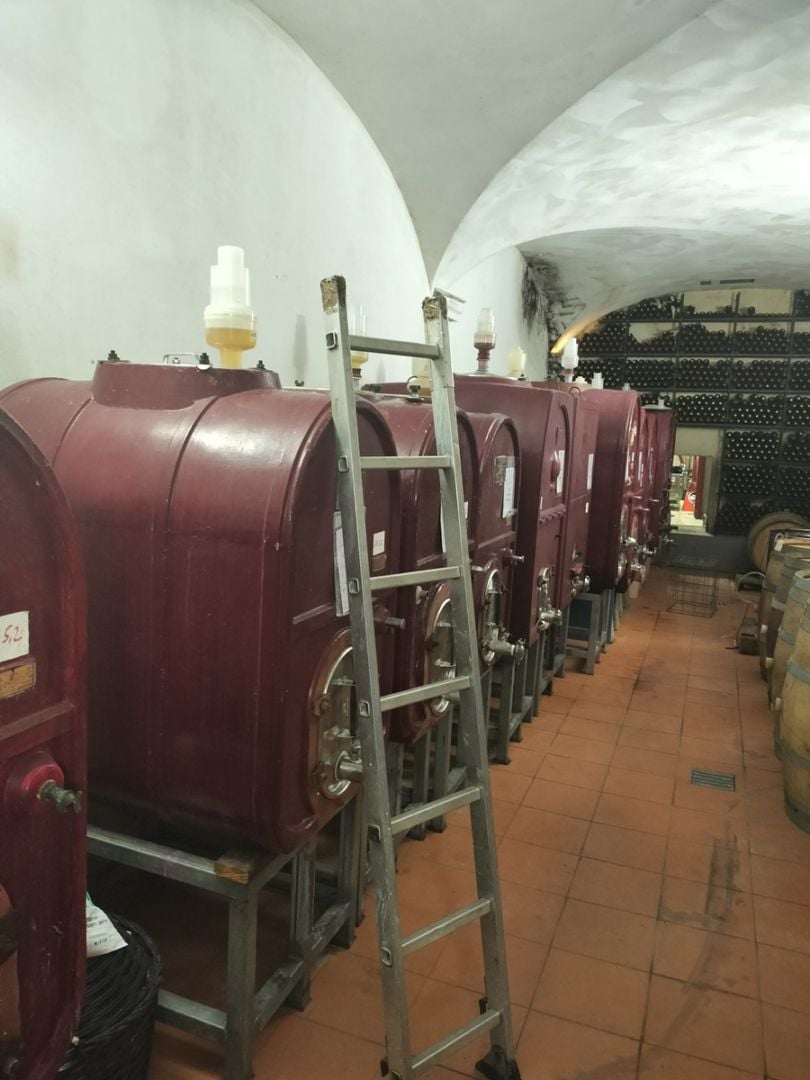 フラスコレ / キアンティ・ルフィナ 2022