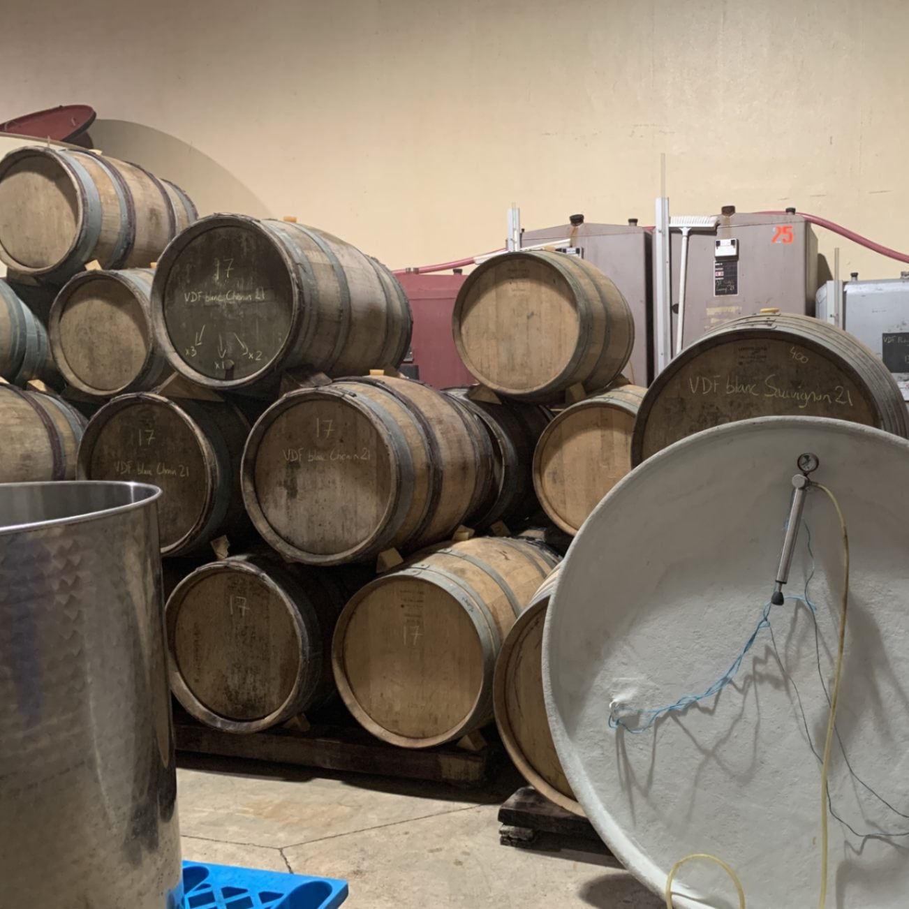 ピエール＝オリヴィエ・ボノム / ソーヴィニョン 2024