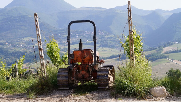 ファットリア・ナンニ / ヴェルディッキオ・ディ・カステッリ・ディ・イェージ・クラッシコ・スペリオーレ　アルジッチ 2023