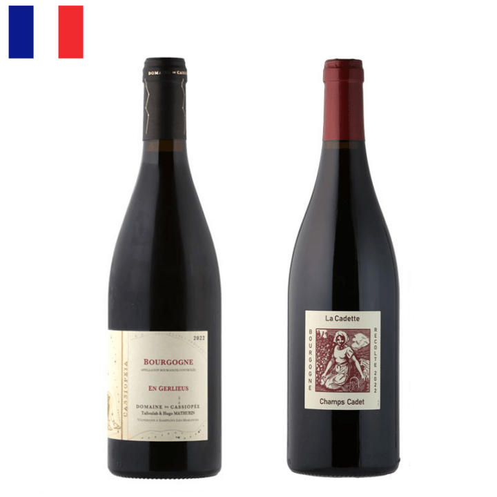 New！ラシーヌのブルゴーニュ《赤》22年ヴィンテッジ飲み比べ２本セット