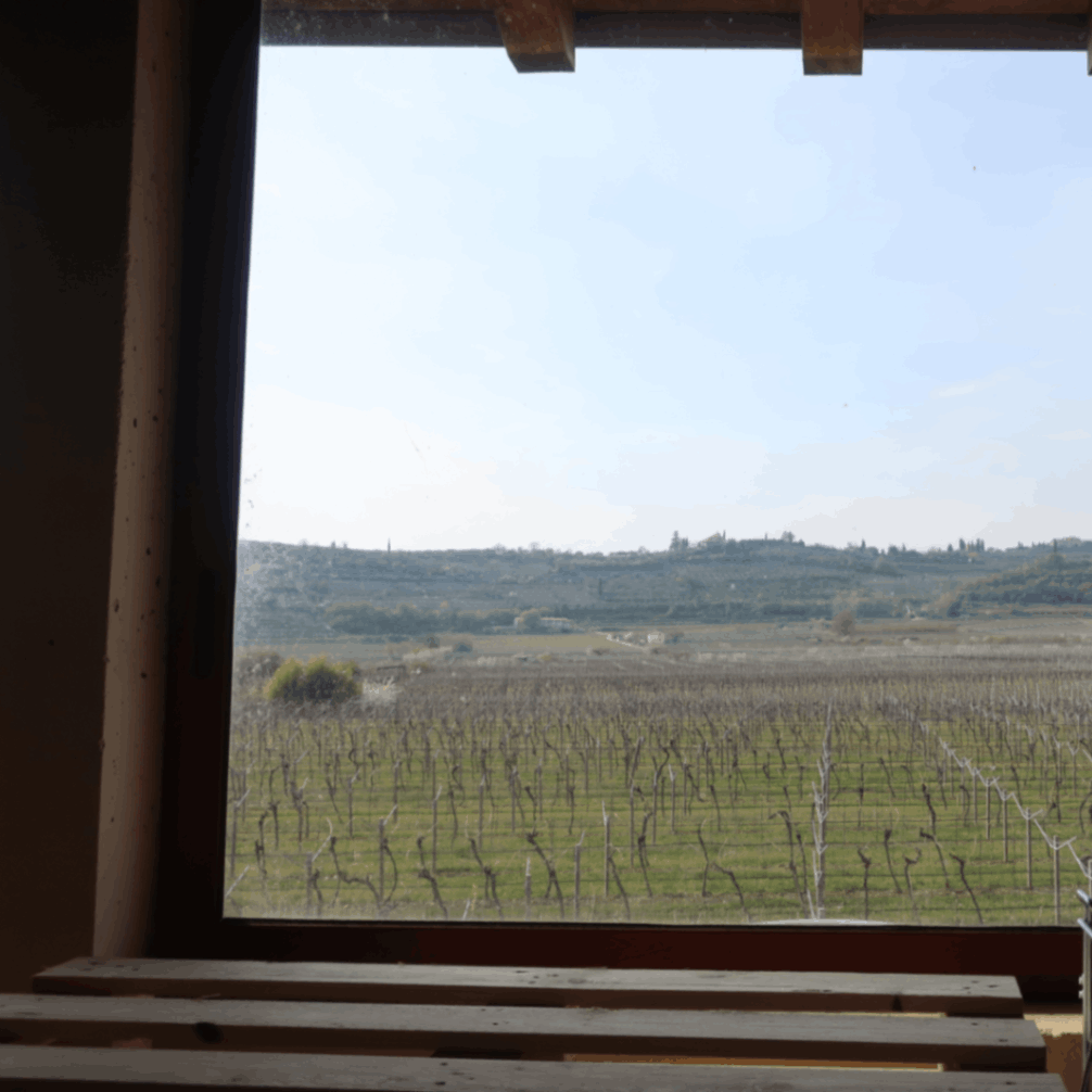 ラルコ / ヴァルポリチェッラ・リパッソ・クラッシコ・スペリオーレ 2021《＊お一人様１本まで 》