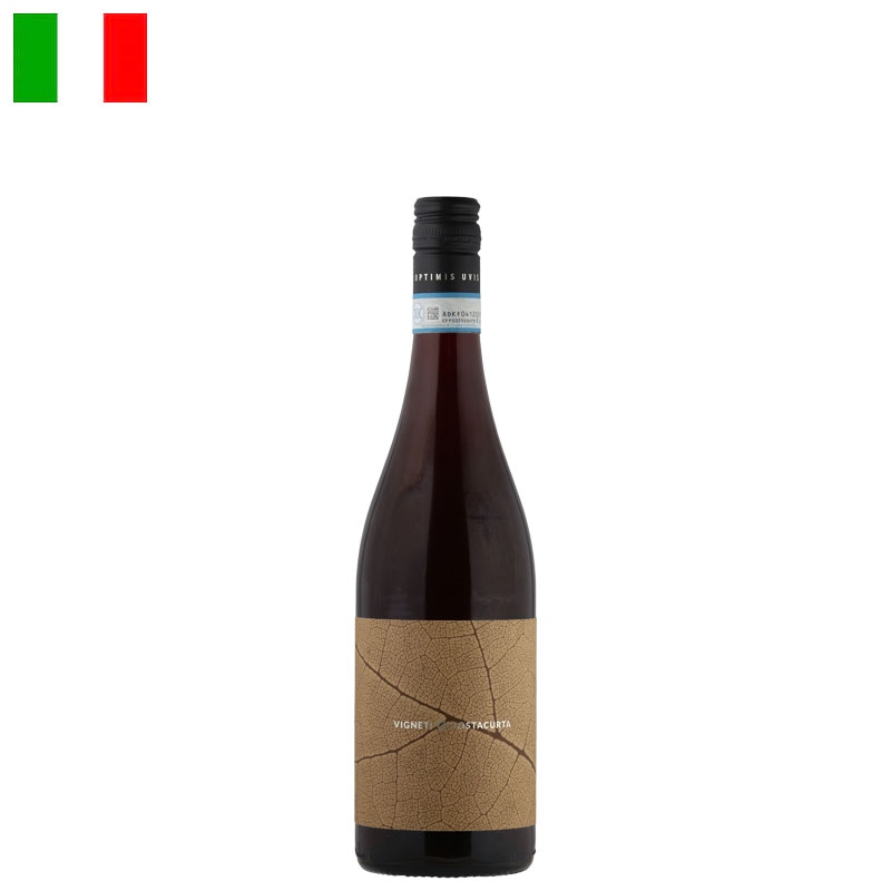 ヴィニェーティ・コスタクルタ / ティンタウニータ 2022