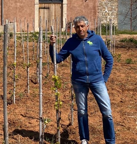 マネンティ / チェラスオーロ・ディ・ヴィットーリア 2021