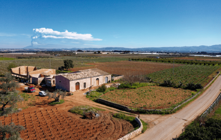 マネンティ / チェラスオーロ・ディ・ヴィットーリア 2021