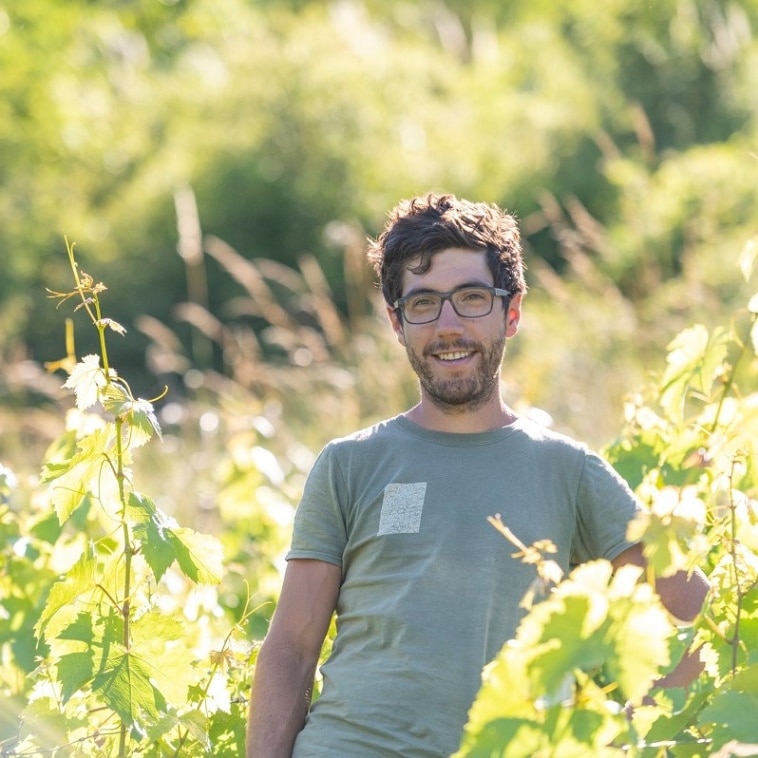 アクセル・ドモン / シアン・ダレ 2021 ＊お一人様1本まで | 産地