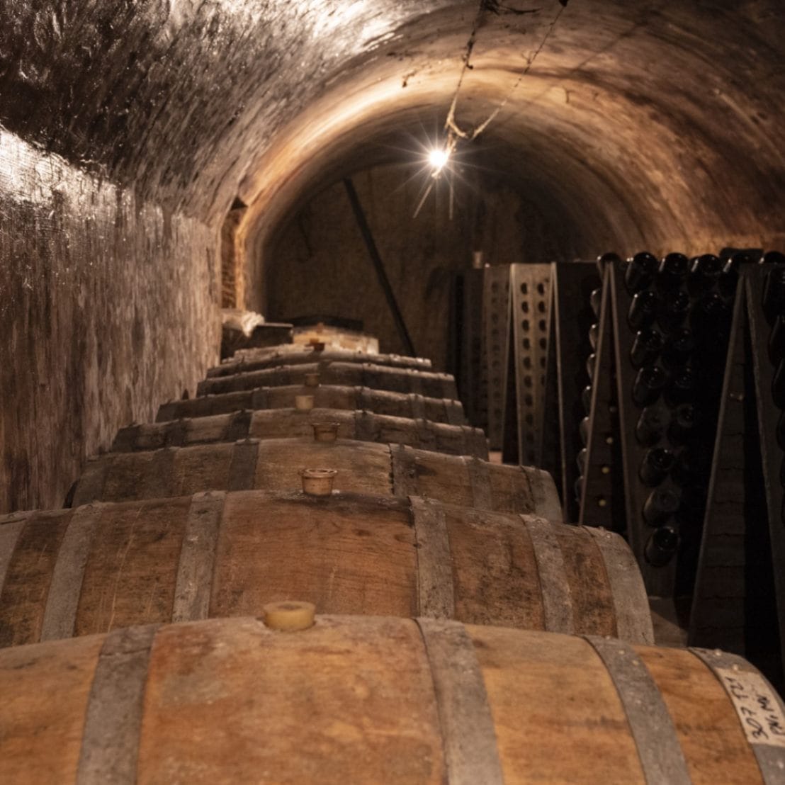 パスカル・マゼ / ゼロ・ドザージュ ナチュール・プルミエ・クリュ