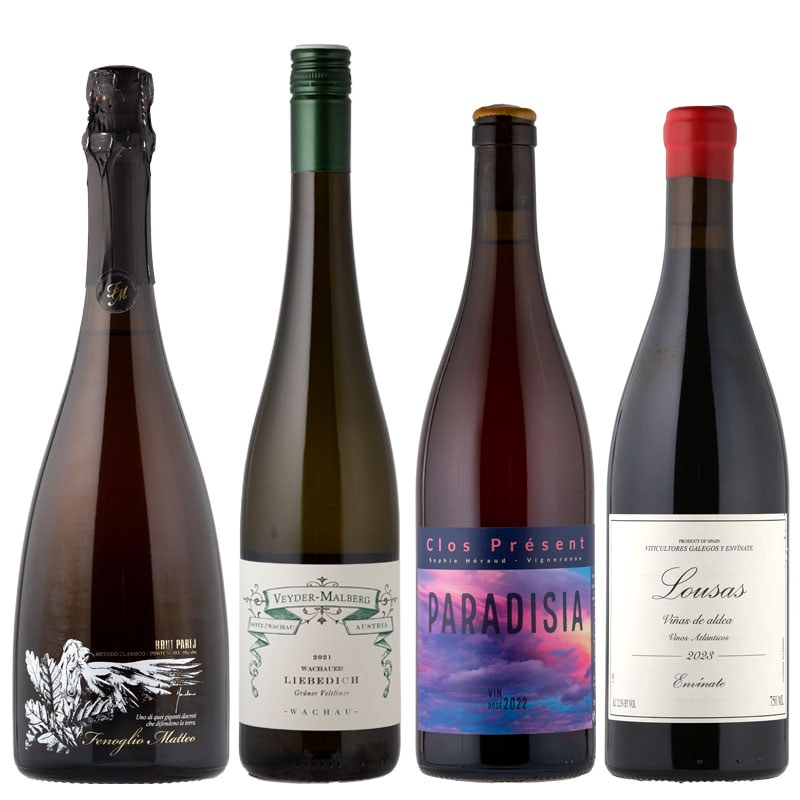 【35%引き】ブルゴーニュ & ローヌ 赤・白 ４本セット 4割引き】ブルゴーニュ & ローヌ 赤・白 4本セット