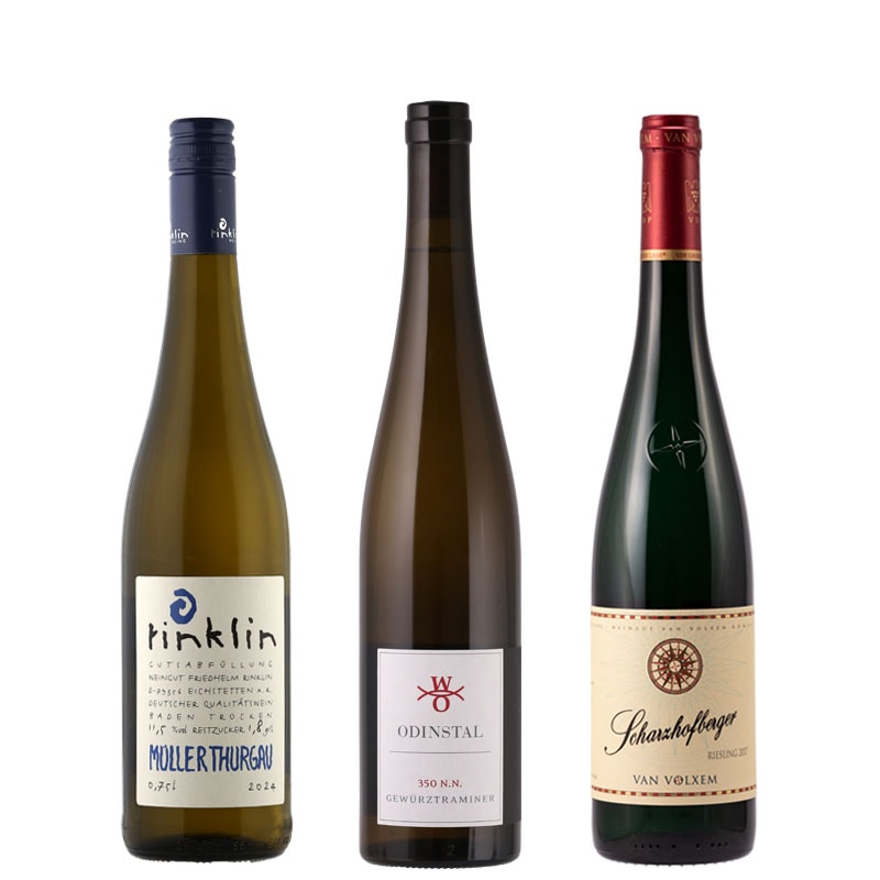 ラシーヌ　シャンパン　４本セット(パルセル　他) 限定】白ワインセット 販売開始