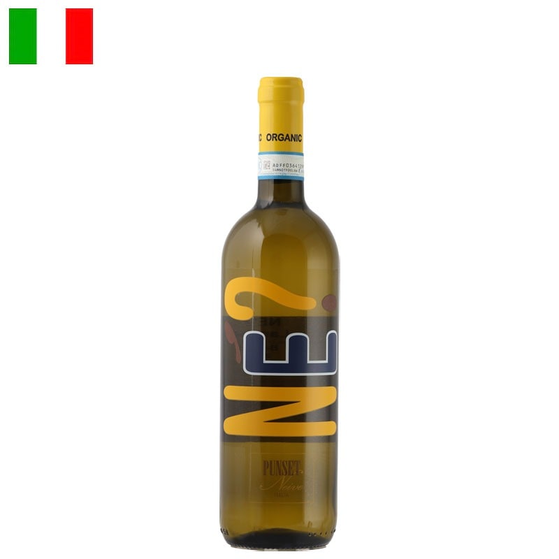 プンセット /ランゲ・ビアンコ　ネ？ 2024