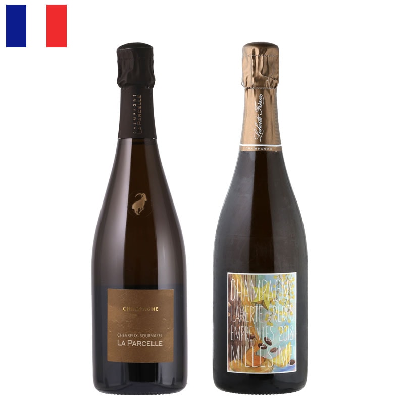 産地,フランス,シャンパーニュ | Racines Wines Land