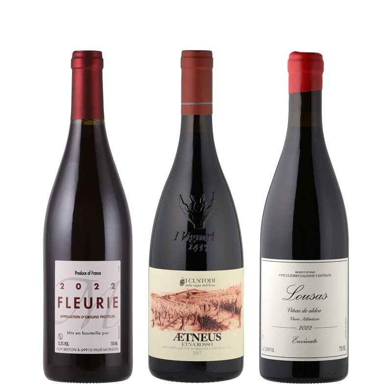 スタッフセレクション！厳選《赤》３本セット　＊お一人様１セットまで