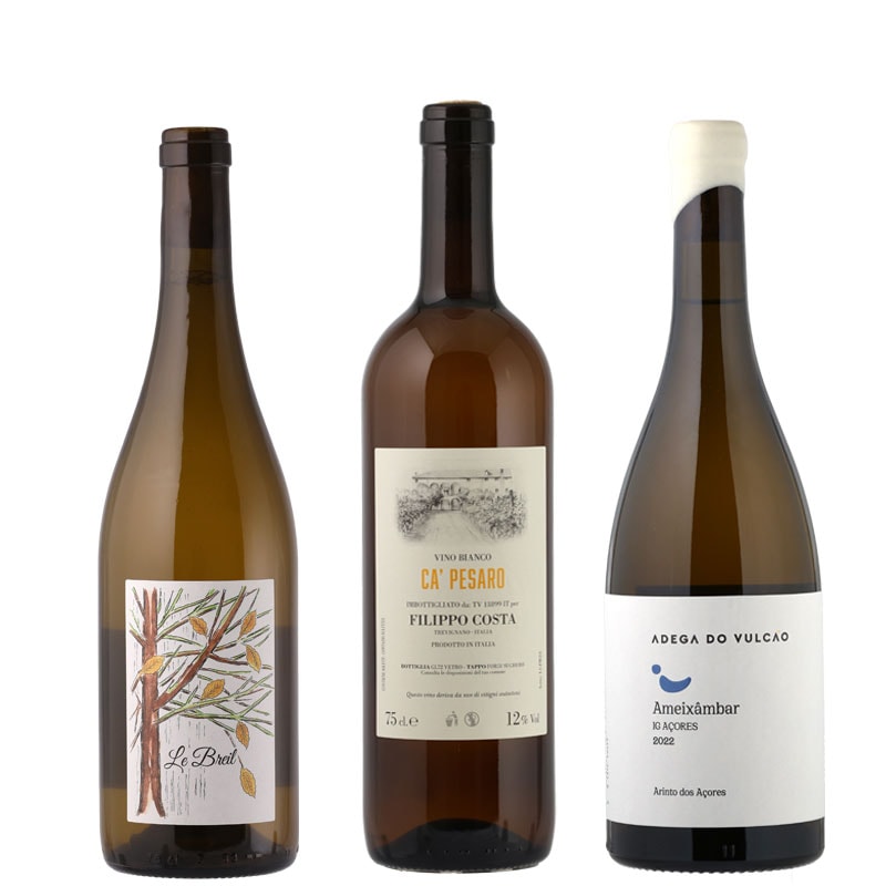 スタッフセレクション！産地で巡る《白》厳選３本セット【第５弾】限定３組　＊お一人様１セットまで