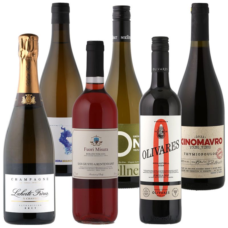 ラシーヌのワインセット - ①（シャンパーニュ１、白２、ロゼ１、赤２）＊６本セットはこちら！