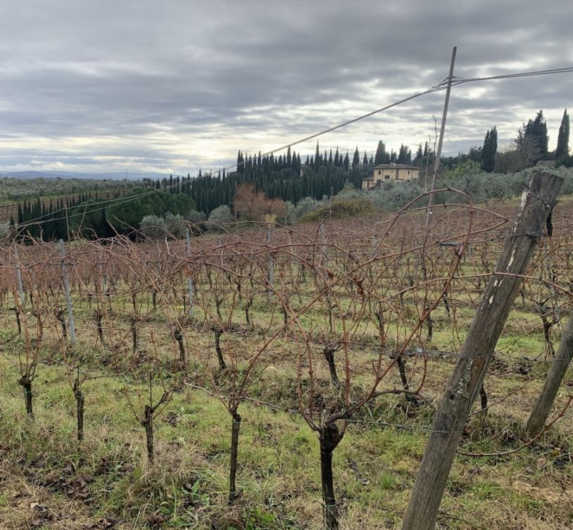 ラ・ヴィーニャ・ディ・サン・マルティーノ・アダルジャーノ / キアンティ・クラッシコ・リゼルヴァ 2022