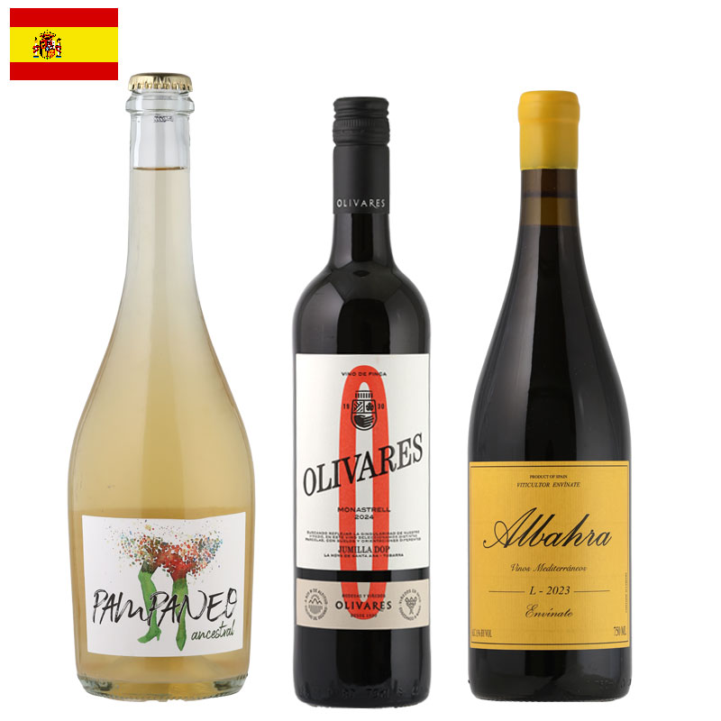 夏こそスペイン！① デイリー3本セット　
