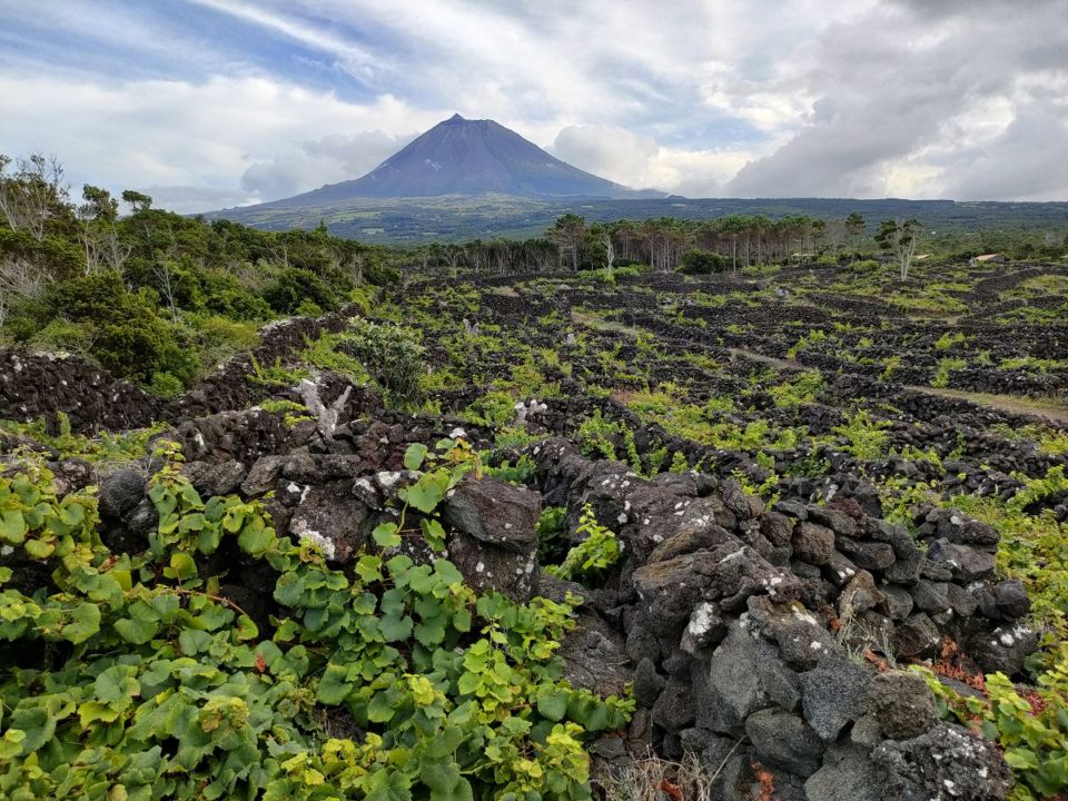 海に浮かぶ火山島のワイン 3本セット【赤】 | すべての商品 | Racines