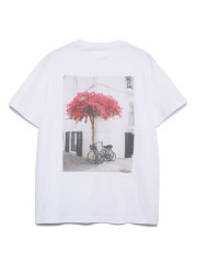 SeaGreen  40/2 SOFT JERSEY T-SHIRT / WHITE