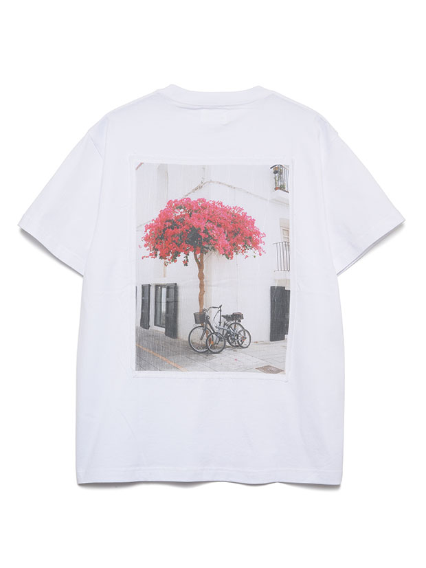 SeaGreen  40/2 SOFT JERSEY T-SHIRT / WHITE