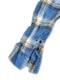 wjk 2-hook check shirt / blue
