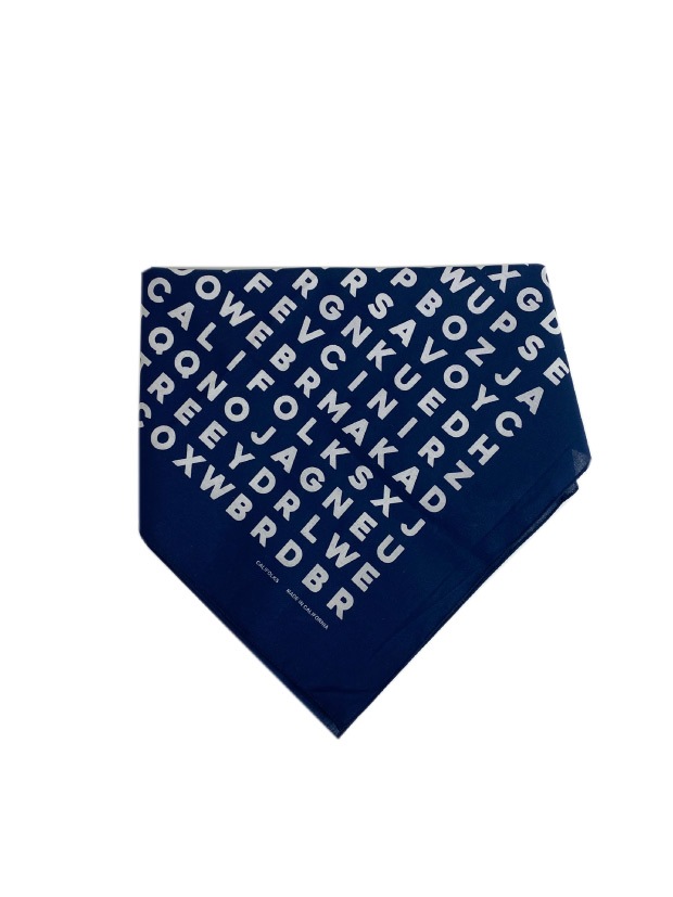 CALIFOLKS WORD SEARCH / NAVY