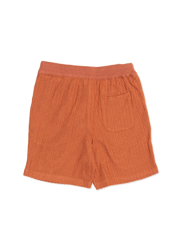 SeaGreen CROCHET LIKE RUSSEL KNIT SHORT PANTS / BROWN