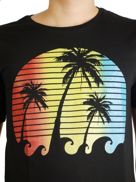 Rolland Berry + rF  S/S TEE PALM FADE Black