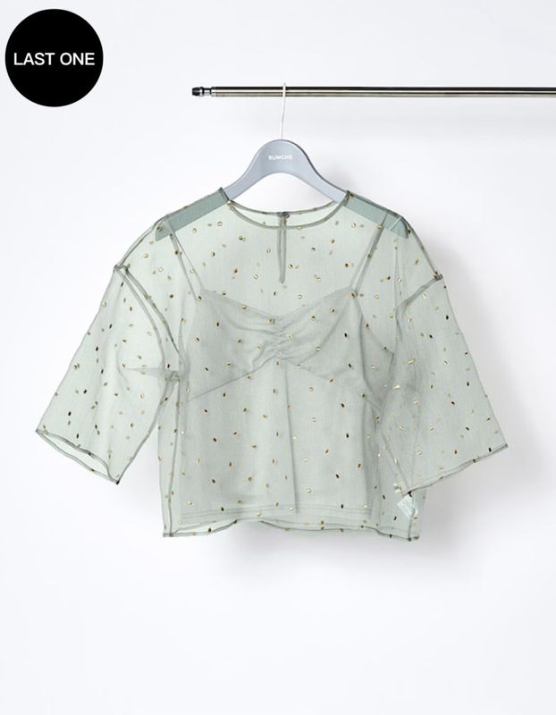 Dot Embroidery Sheer Tops / light gray
