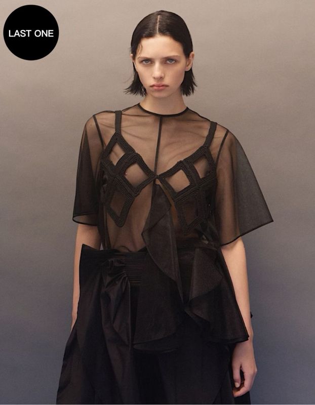 Moon Ruffle Sheer Tops / black
