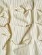 Snowflake Stripe Skirt / ivory