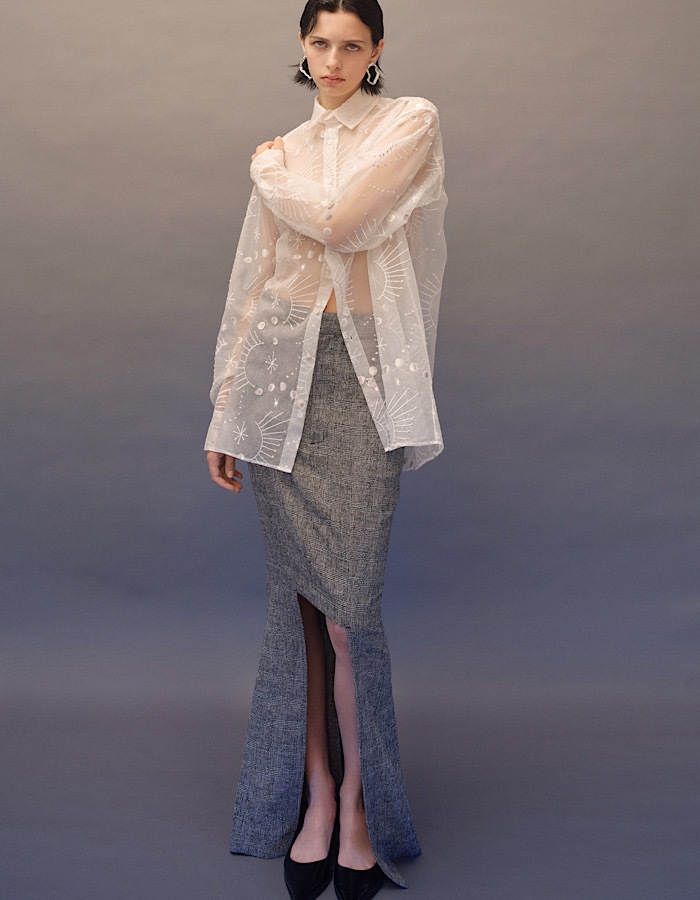 Sheer Embroidery Shirt / white