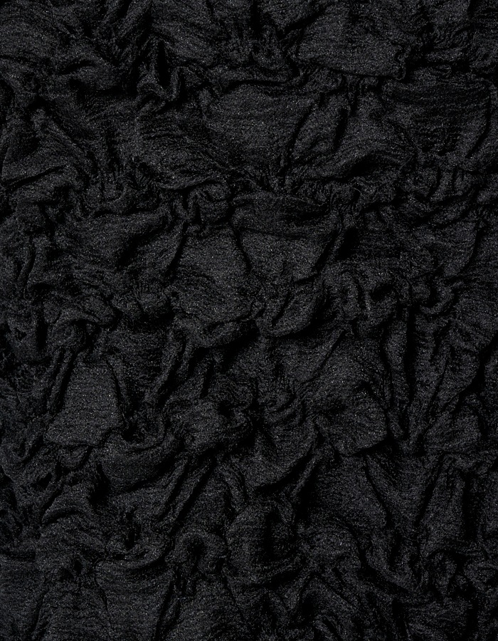 Organdy Shirring Skirt / black