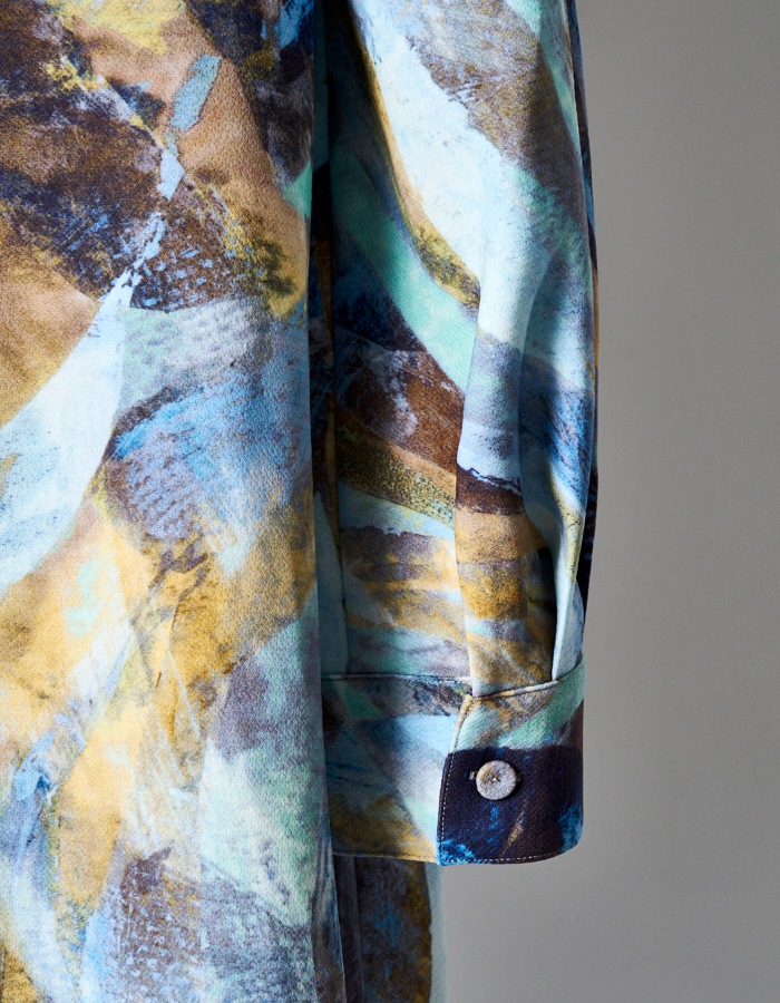 Wing Print Shirt Dress / blue