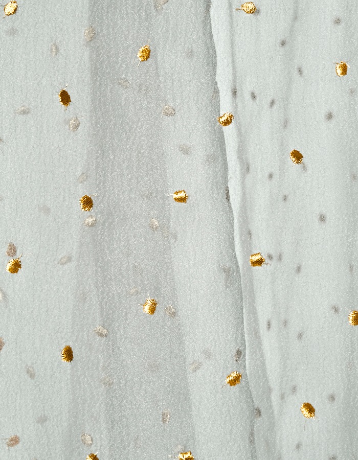 Dot Embroidery Sheer Skirt / light gray