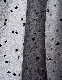 Dot Embroidery Sheer Skirt / black