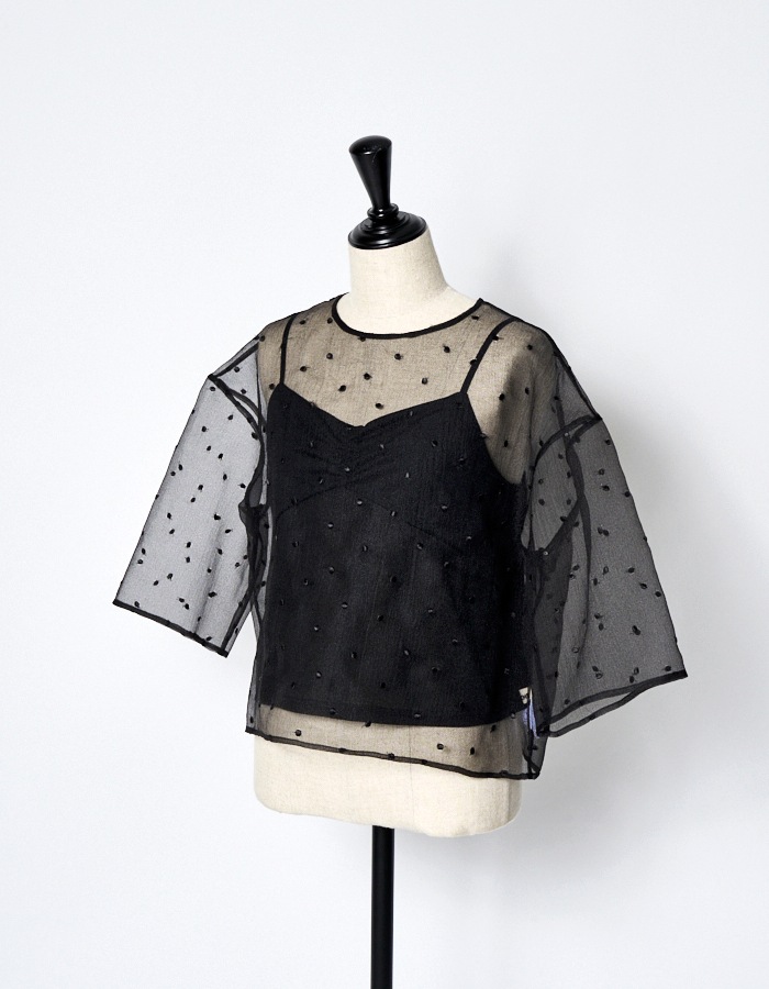 Dot Embroidery Sheer Tops / black