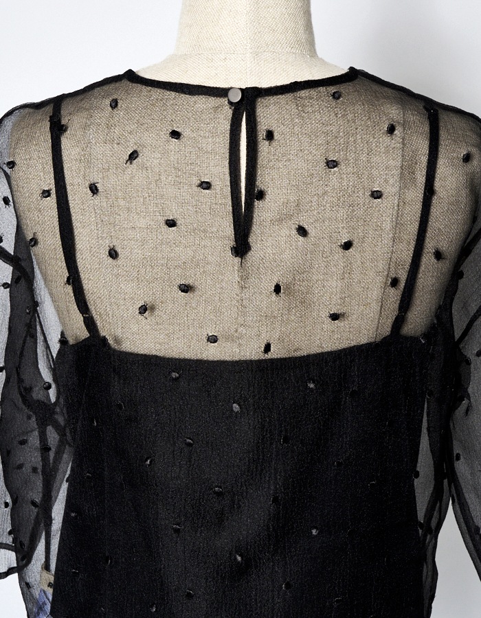 Dot Embroidery Sheer Tops / black