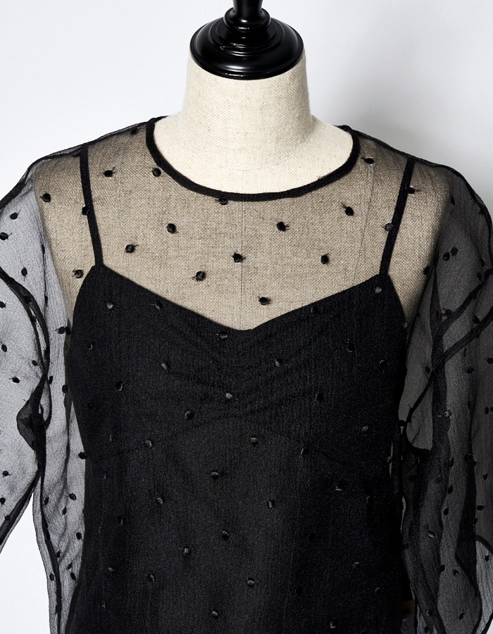 Dot Embroidery Sheer Tops / black