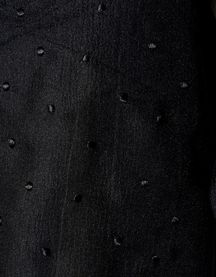 Dot Embroidery Sheer Tops / black