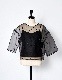 Dot Embroidery Sheer Tops / black