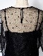 Dot Embroidery Sheer Tops / black